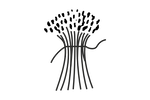 ACCI Logo explained wheat